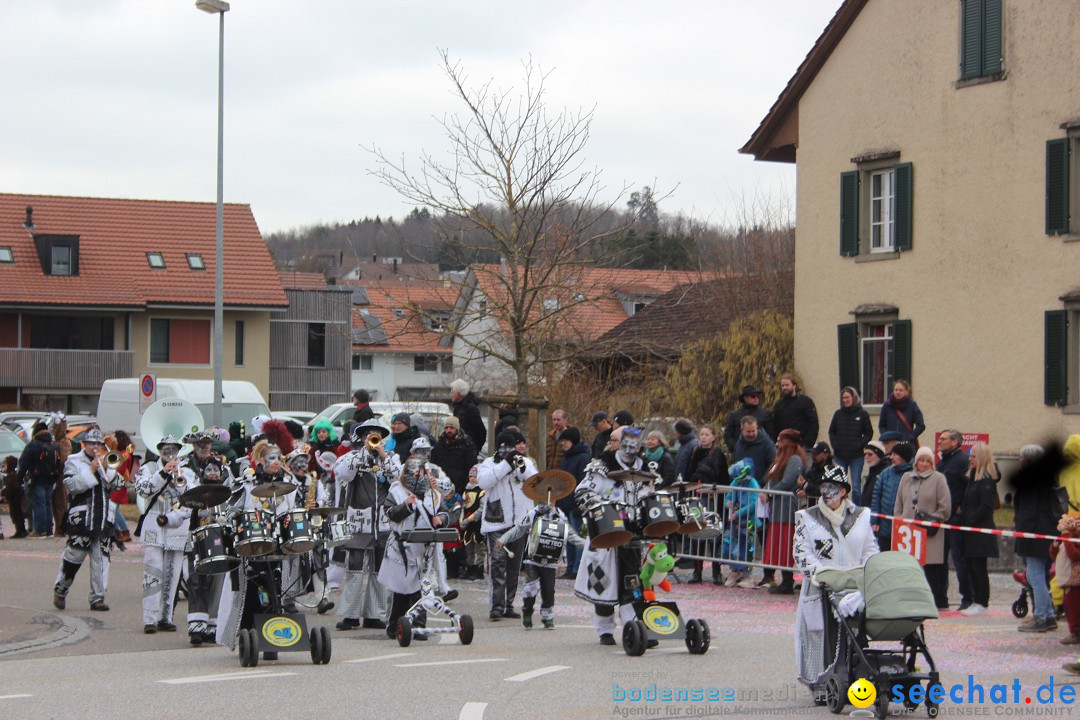 Fasnachtsumzug - Wiesendangen - Schweiz, 15.03.2025