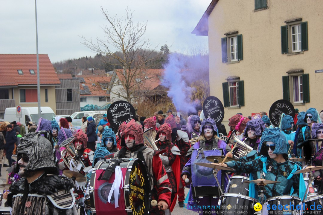 Fasnachtsumzug - Wiesendangen - Schweiz, 15.03.2025
