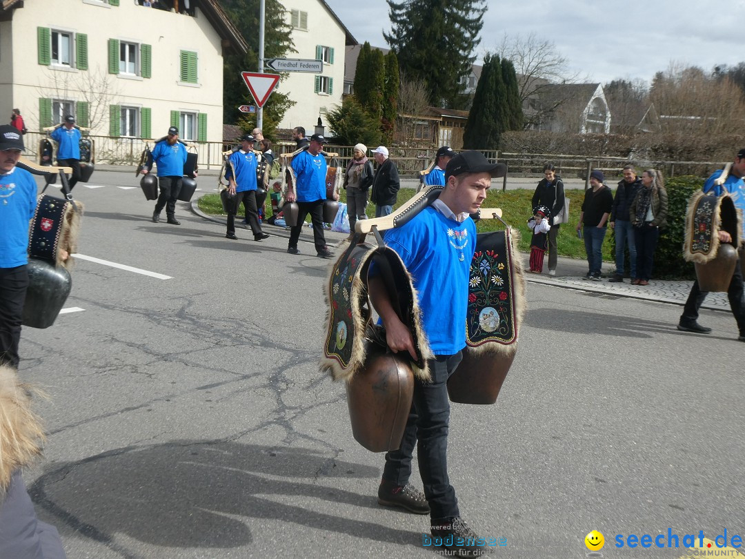 Fasnachtsumzug - Rorbas- Schweiz, 23.03.2025