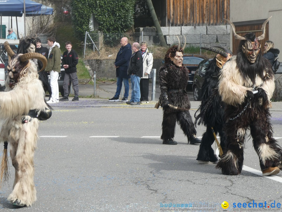 Fasnachtsumzug - Rorbas- Schweiz, 23.03.2025