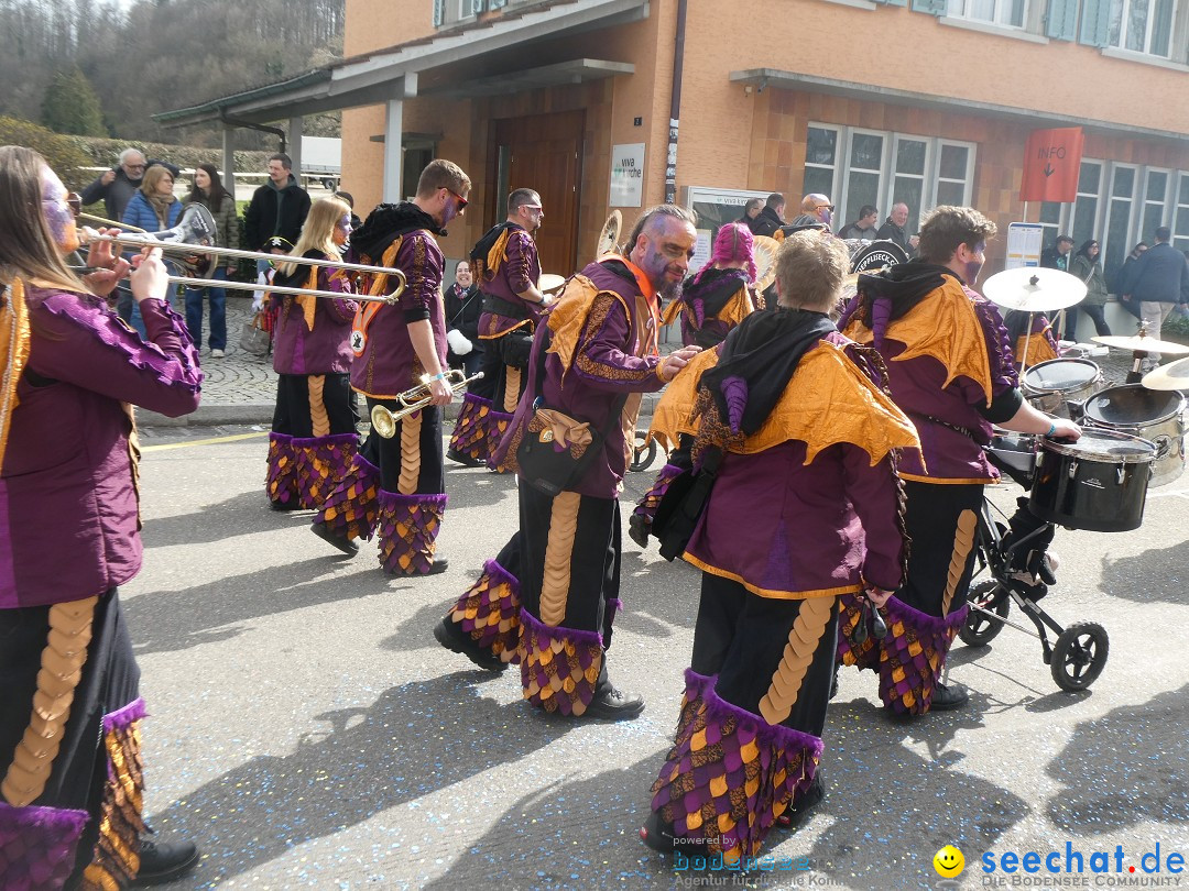 Fasnachtsumzug - Rorbas- Schweiz, 23.03.2025