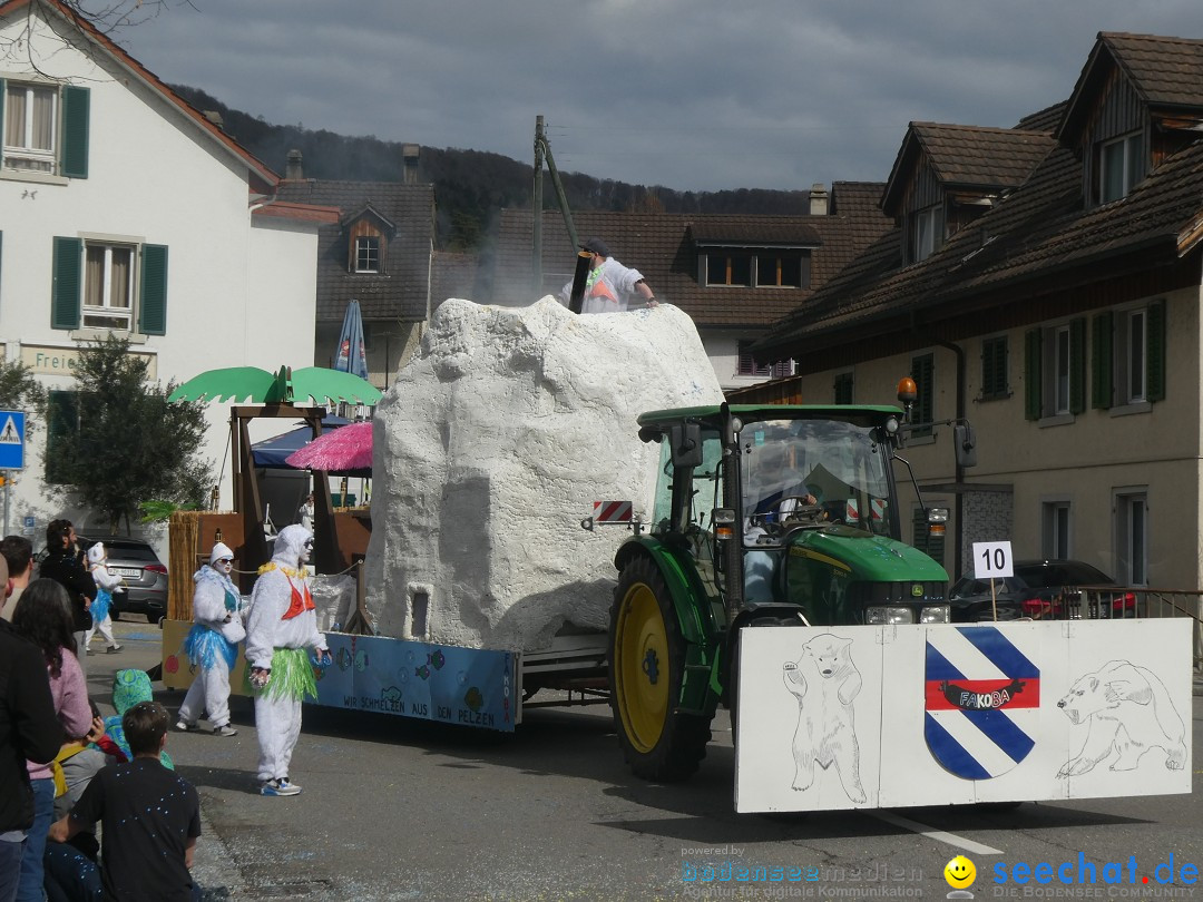 Fasnachtsumzug - Rorbas- Schweiz, 23.03.2025