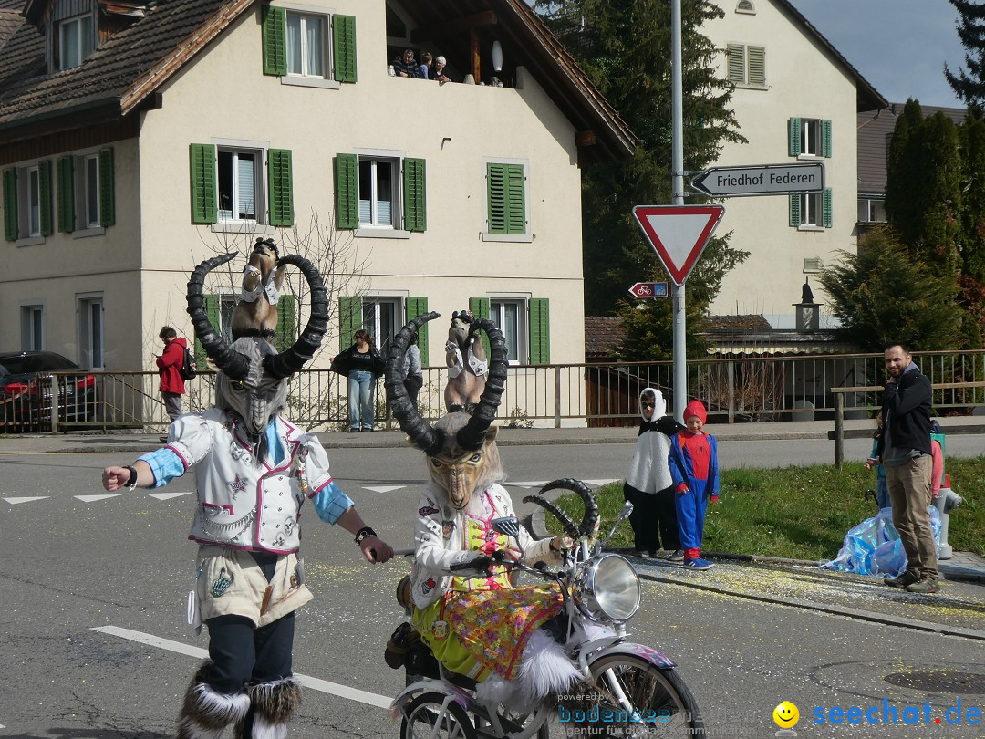 Fasnachtsumzug - Rorbas- Schweiz, 23.03.2025
