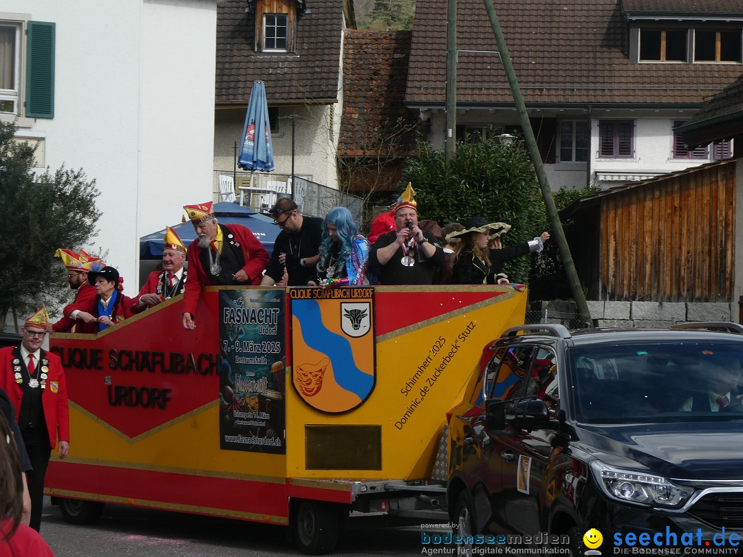 Fasnachtsumzug - Rorbas- Schweiz, 23.03.2025