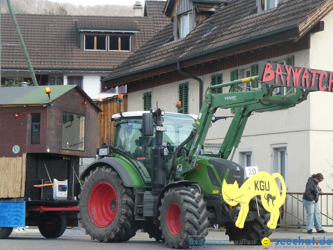 Fasnachtsumzug - Rorbas- Schweiz, 23.03.2025