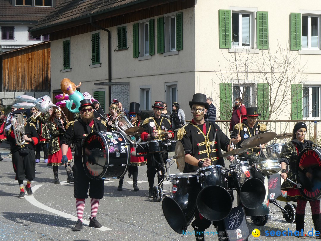 Fasnachtsumzug - Rorbas- Schweiz, 23.03.2025