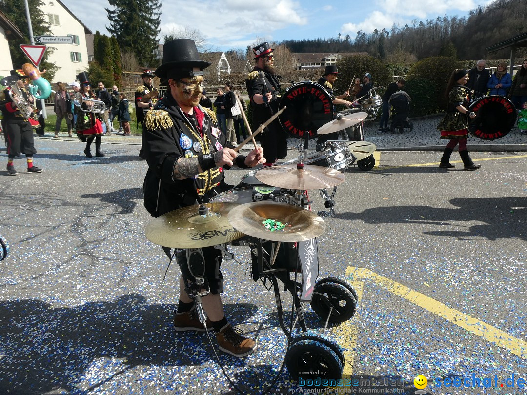 Fasnachtsumzug - Rorbas- Schweiz, 23.03.2025