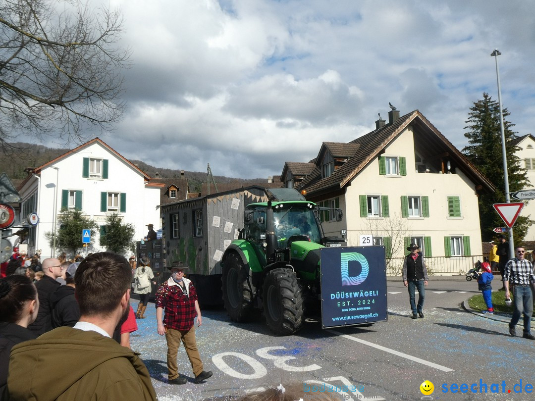 Fasnachtsumzug - Rorbas- Schweiz, 23.03.2025