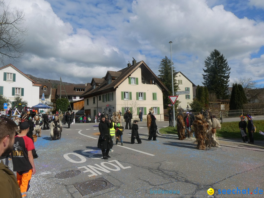 Fasnachtsumzug - Rorbas- Schweiz, 23.03.2025