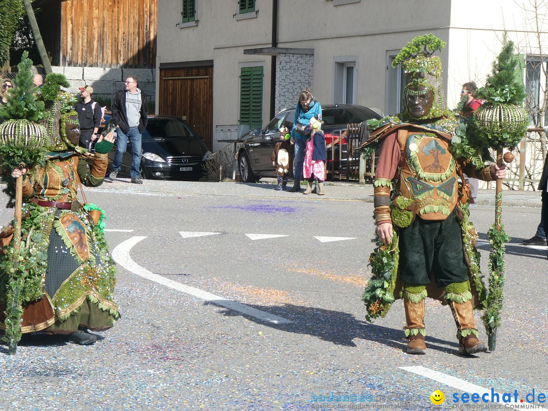 Fasnachtsumzug - Rorbas- Schweiz, 23.03.2025
