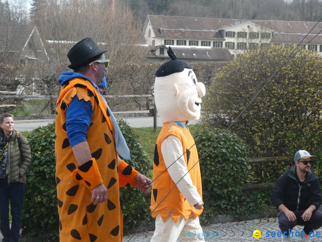 Fasnachtsumzug - Rorbas- Schweiz, 23.03.2025