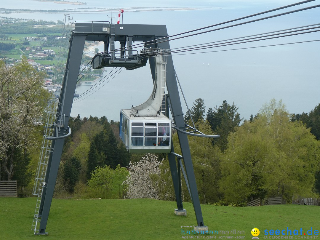 52. Internationale Flottensternfahrt: Bregenz am Bodensee, 26.04.2025