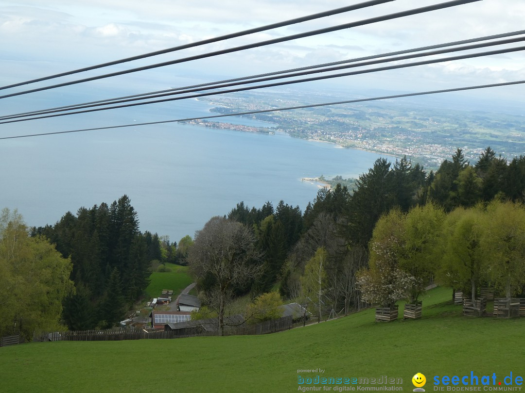52. Internationale Flottensternfahrt: Bregenz am Bodensee, 26.04.2025
