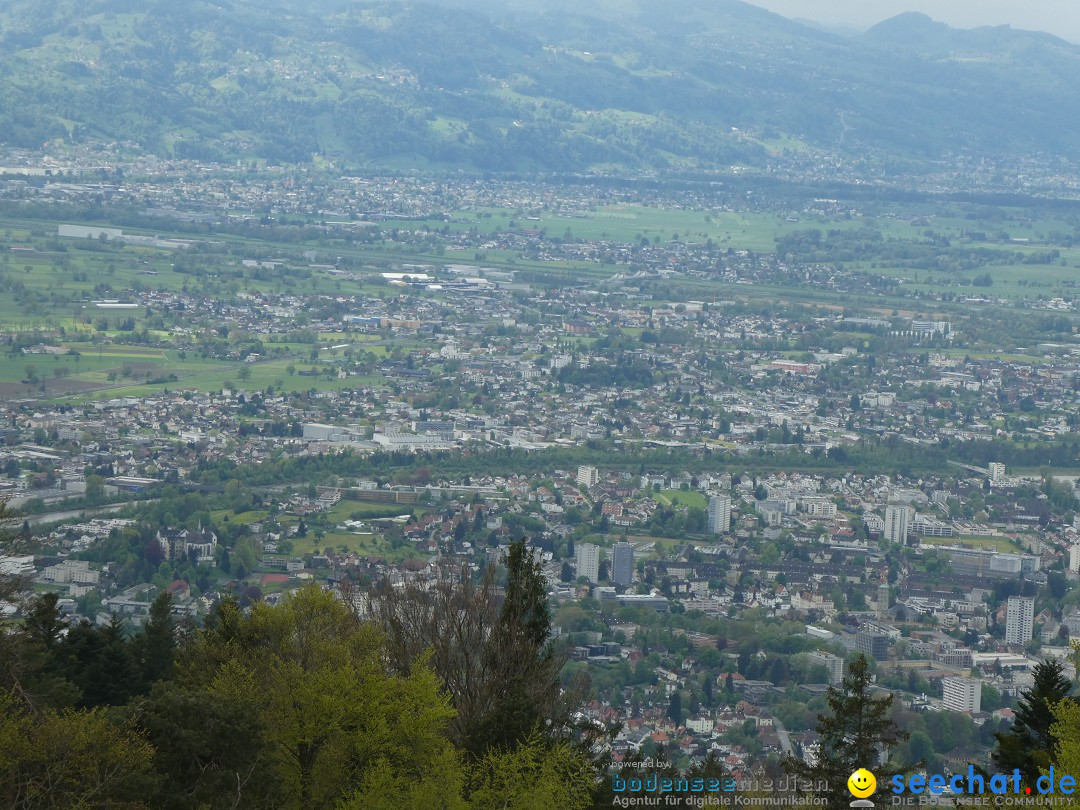 52. Internationale Flottensternfahrt: Bregenz am Bodensee, 26.04.2025