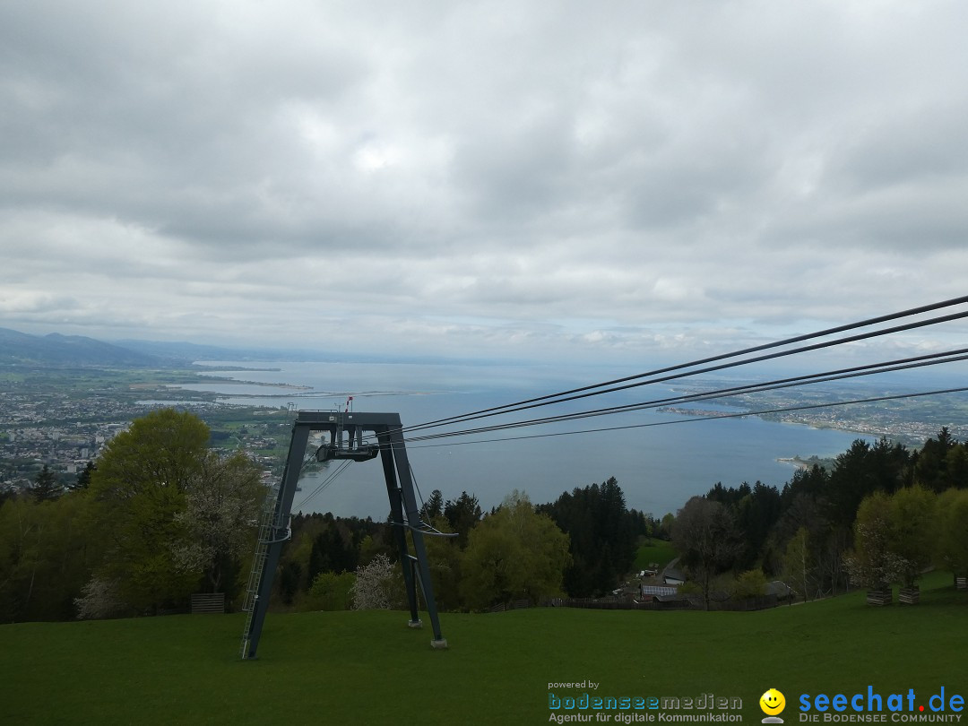 52. Internationale Flottensternfahrt: Bregenz am Bodensee, 26.04.2025