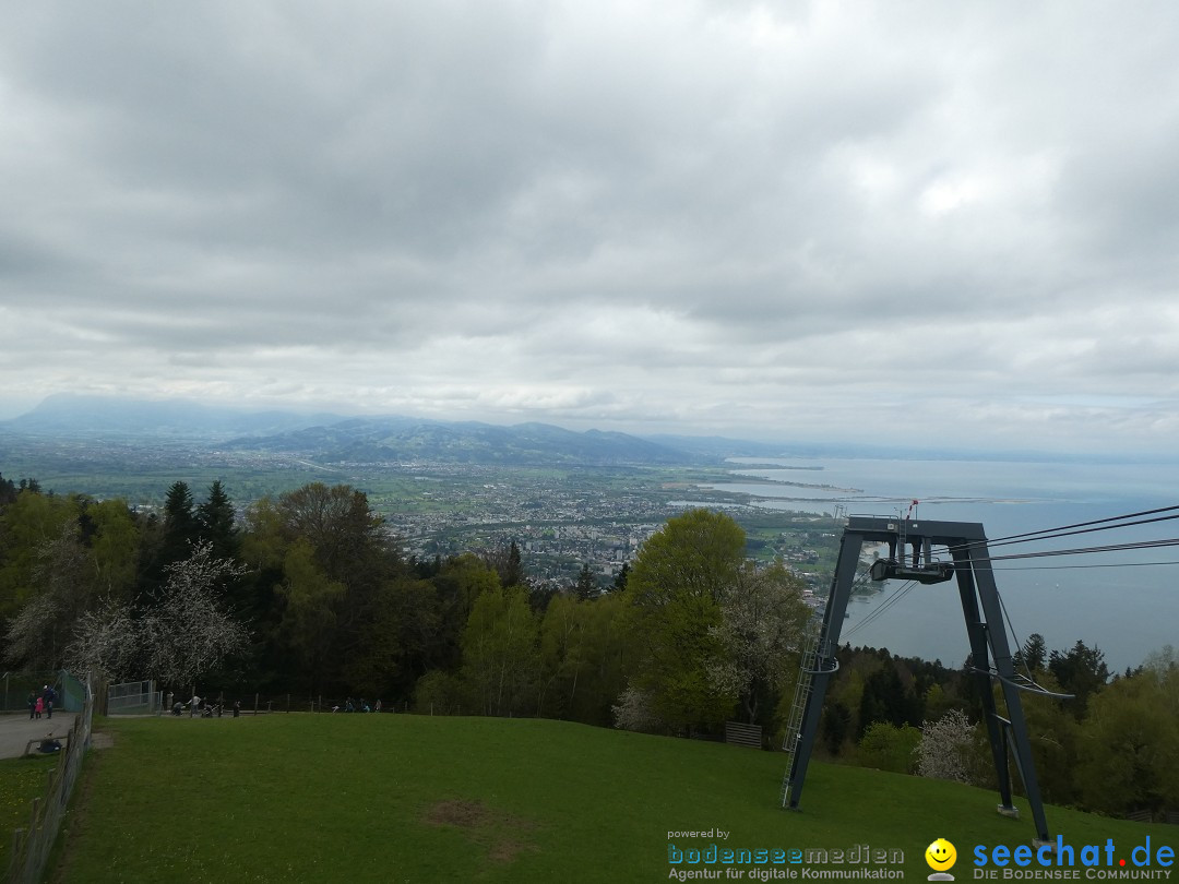 52. Internationale Flottensternfahrt: Bregenz am Bodensee, 26.04.2025