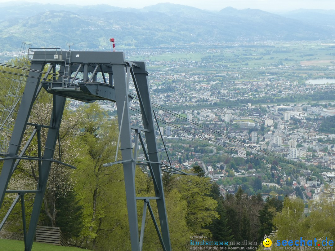 52. Internationale Flottensternfahrt: Bregenz am Bodensee, 26.04.2025