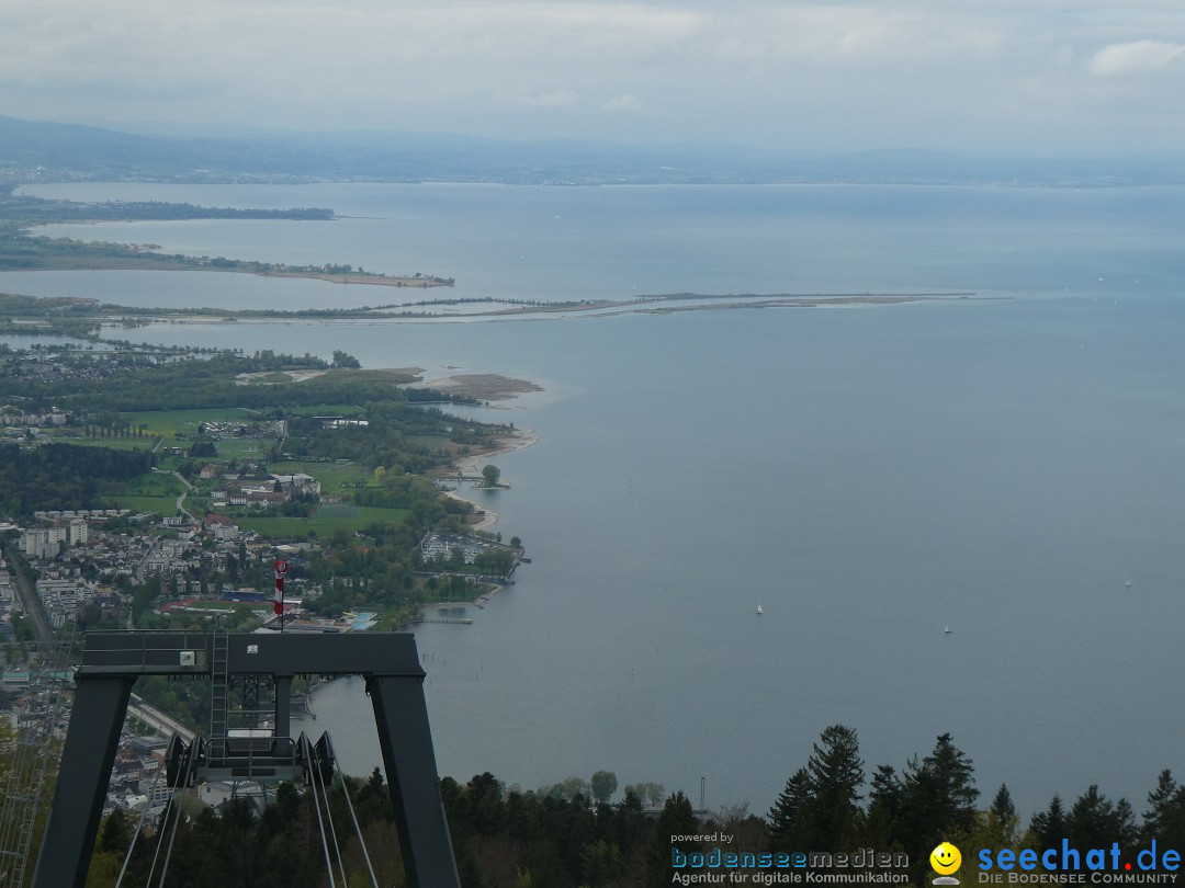 52. Internationale Flottensternfahrt: Bregenz am Bodensee, 26.04.2025