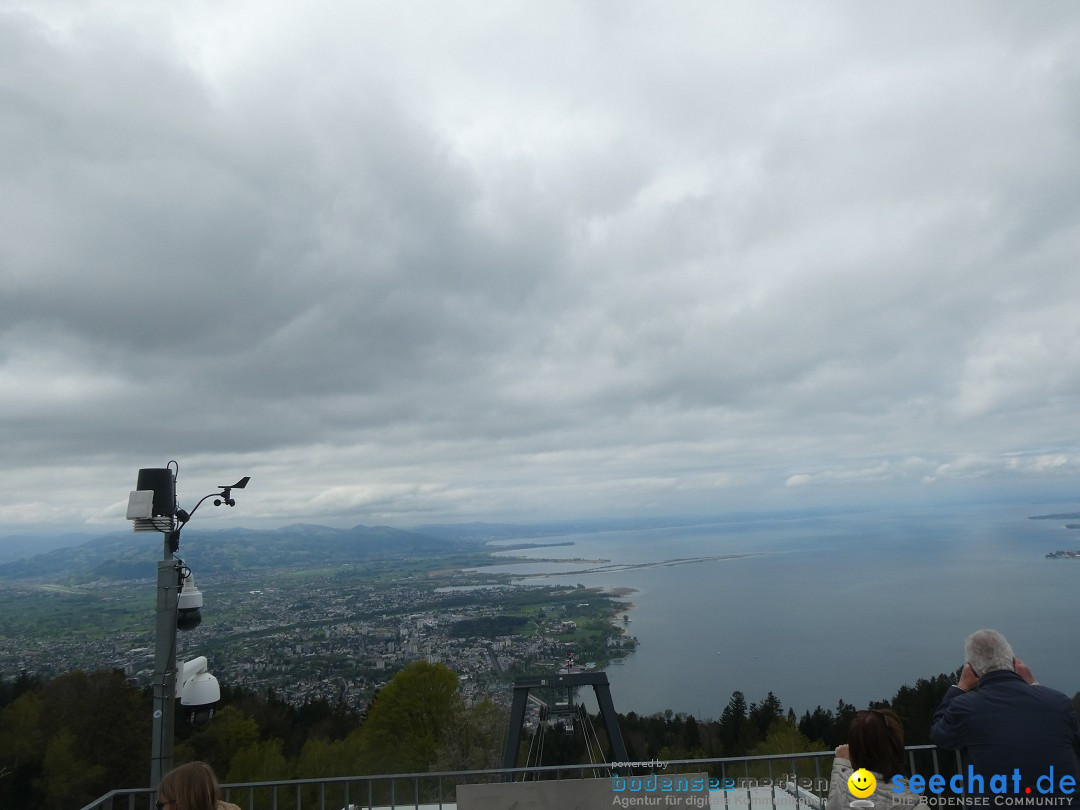 52. Internationale Flottensternfahrt: Bregenz am Bodensee, 26.04.2025