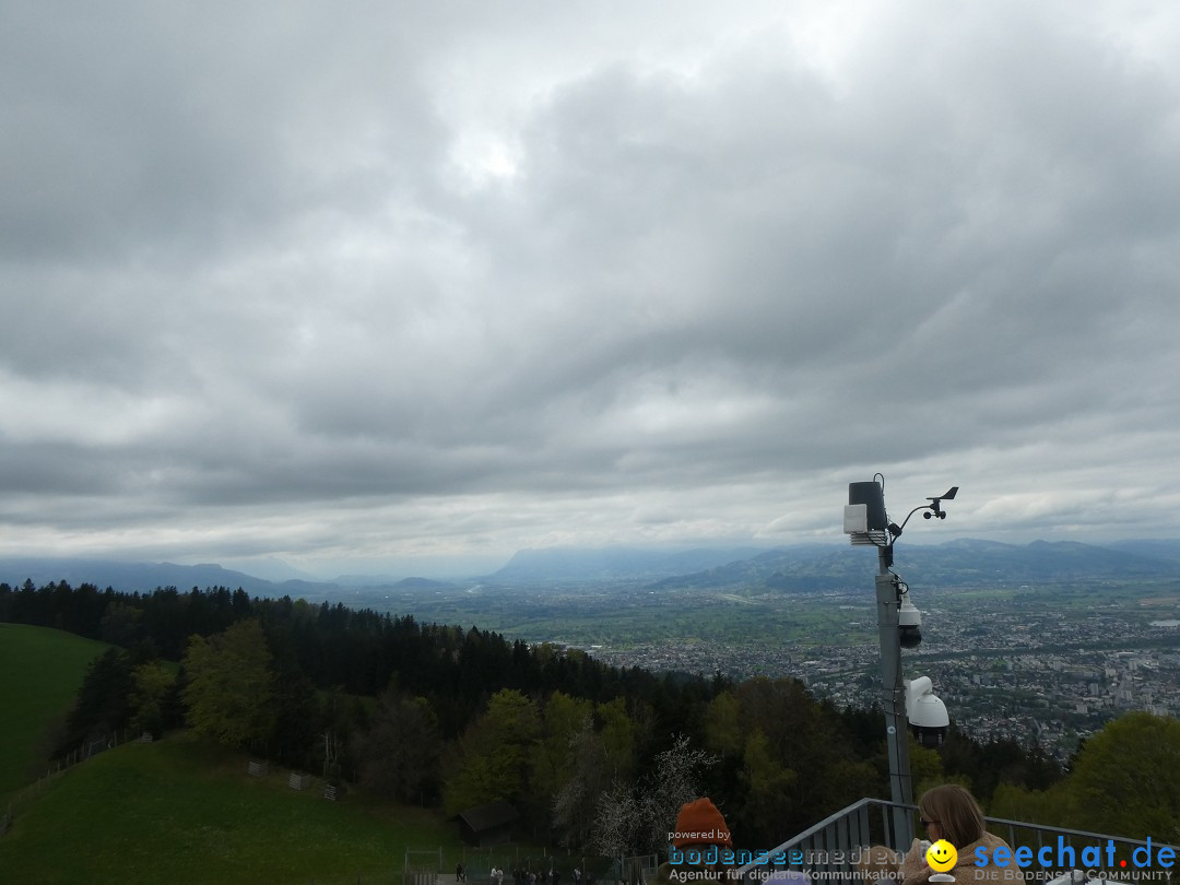 52. Internationale Flottensternfahrt: Bregenz am Bodensee, 26.04.2025