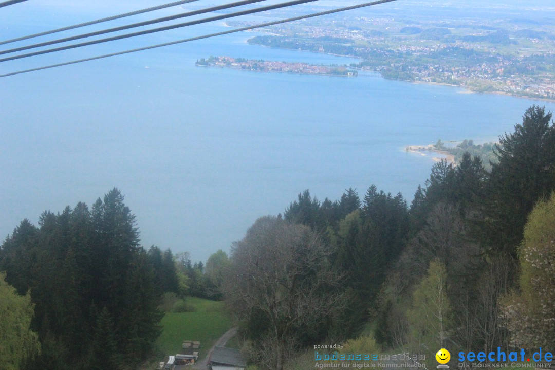 52. Internationale Flottensternfahrt: Bregenz am Bodensee, 26.04.2025