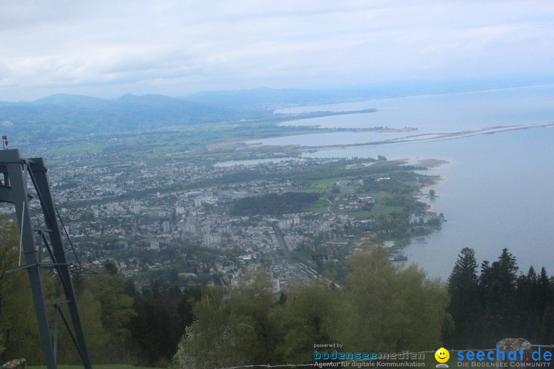 52. Internationale Flottensternfahrt: Bregenz am Bodensee, 26.04.2025