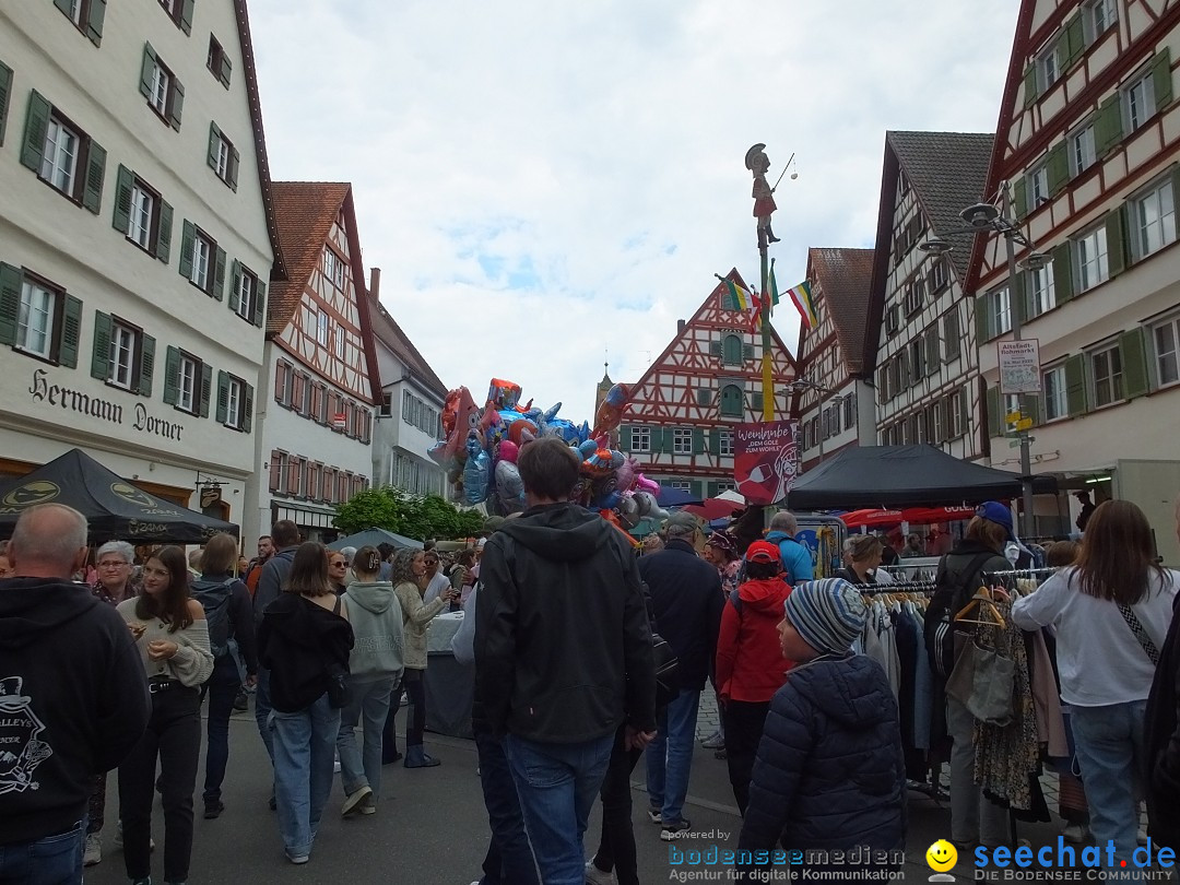 Flohmarkt Open Air: Riedlingen, 17.05.2025