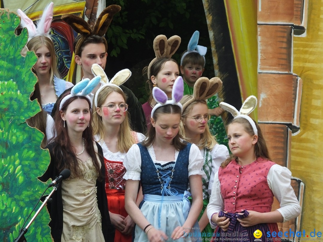 Flohmarkt Open Air: Riedlingen, 17.05.2025