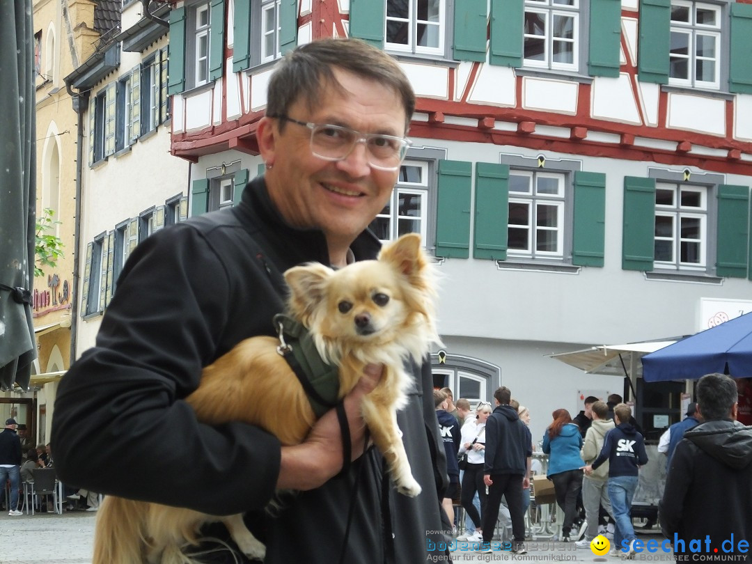 Flohmarkt Open Air: Riedlingen, 17.05.2025
