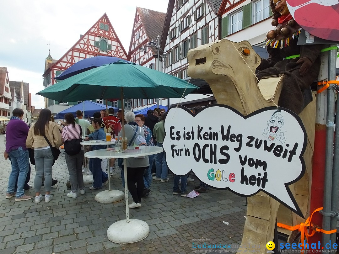 Flohmarkt Open Air: Riedlingen, 17.05.2025