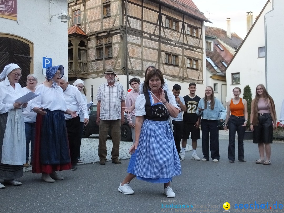 Theatersommer - Probe: Riedlingen, 12.07.2025