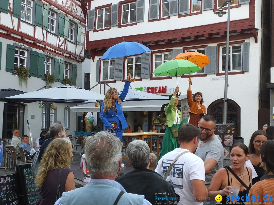 Theatersommer - Probe: Riedlingen, 12.07.2025