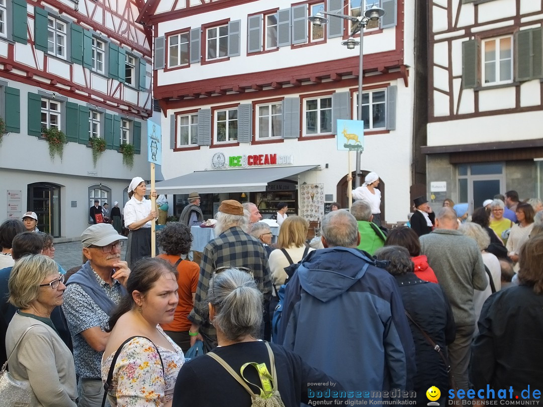 Theatersommer - Premiere: Riedlingen, 17.07.2025