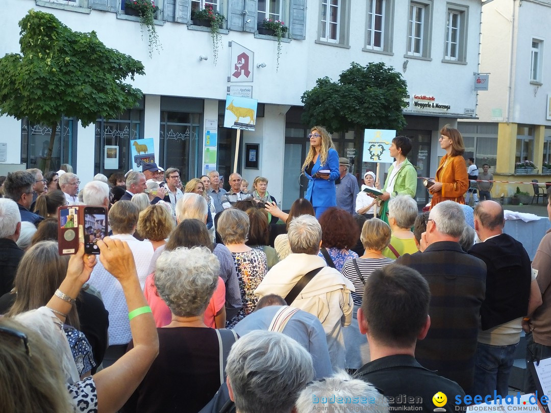 Theatersommer - Premiere: Riedlingen, 17.07.2025