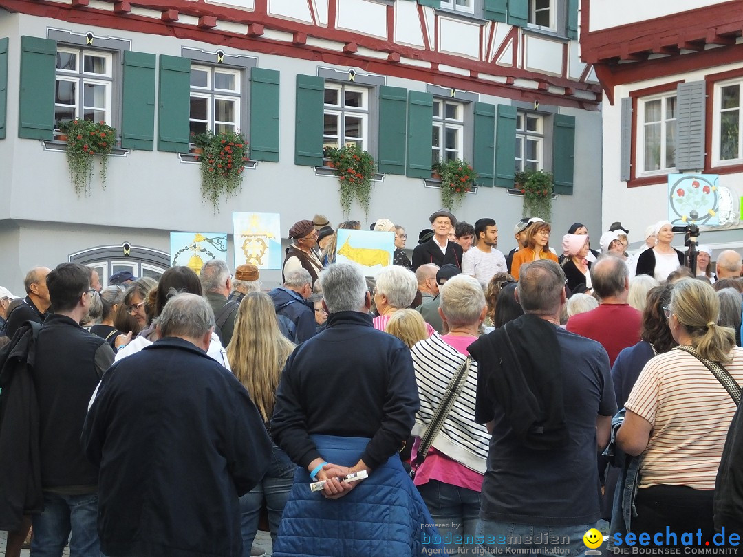 Theatersommer - Premiere: Riedlingen, 17.07.2025
