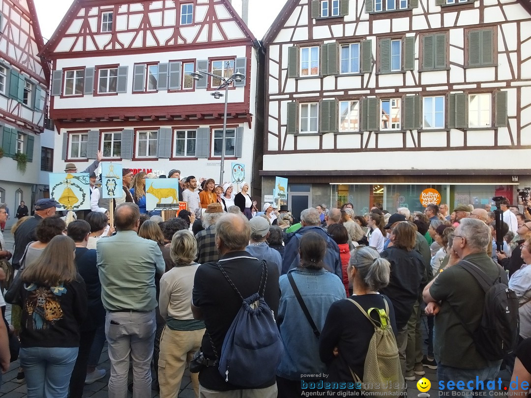 Theatersommer - Premiere: Riedlingen, 17.07.2025