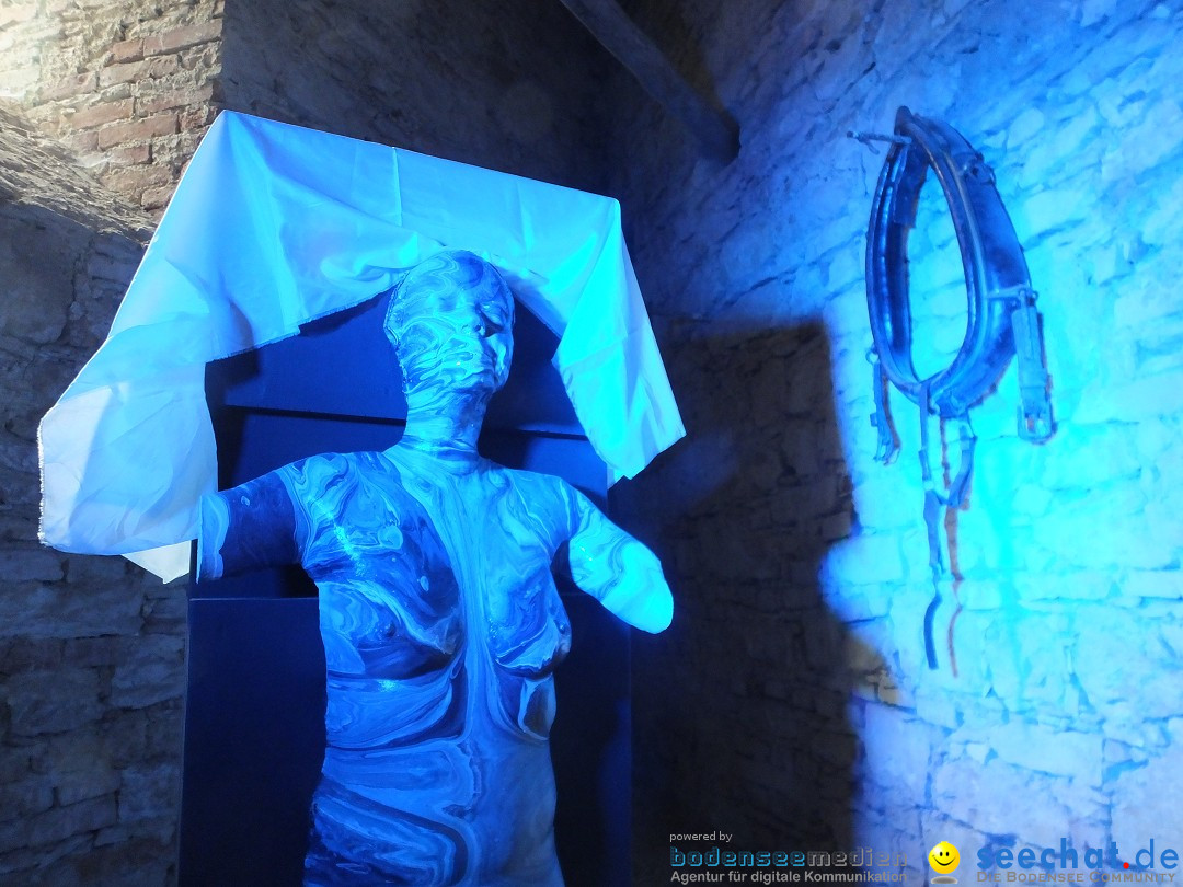 Duft, Stil und Sinn - Kunstevent: Schloss Neufra, 03.08.2025