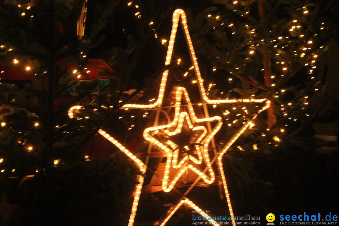 3.Lichterfahrt der Landwirtschaft - Huttwil BE, 13.12.2025