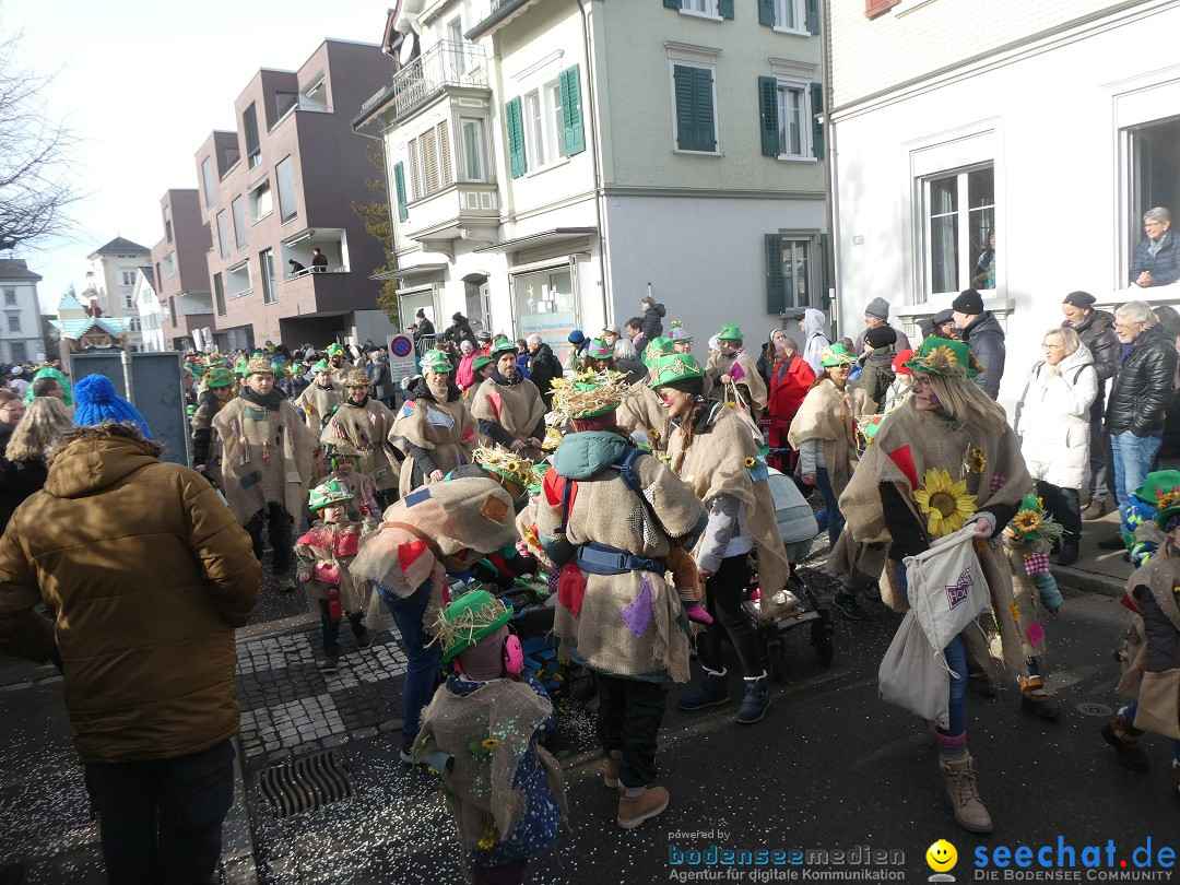 Fasnachtsumzug und Party: Gossau, 25.01.2026