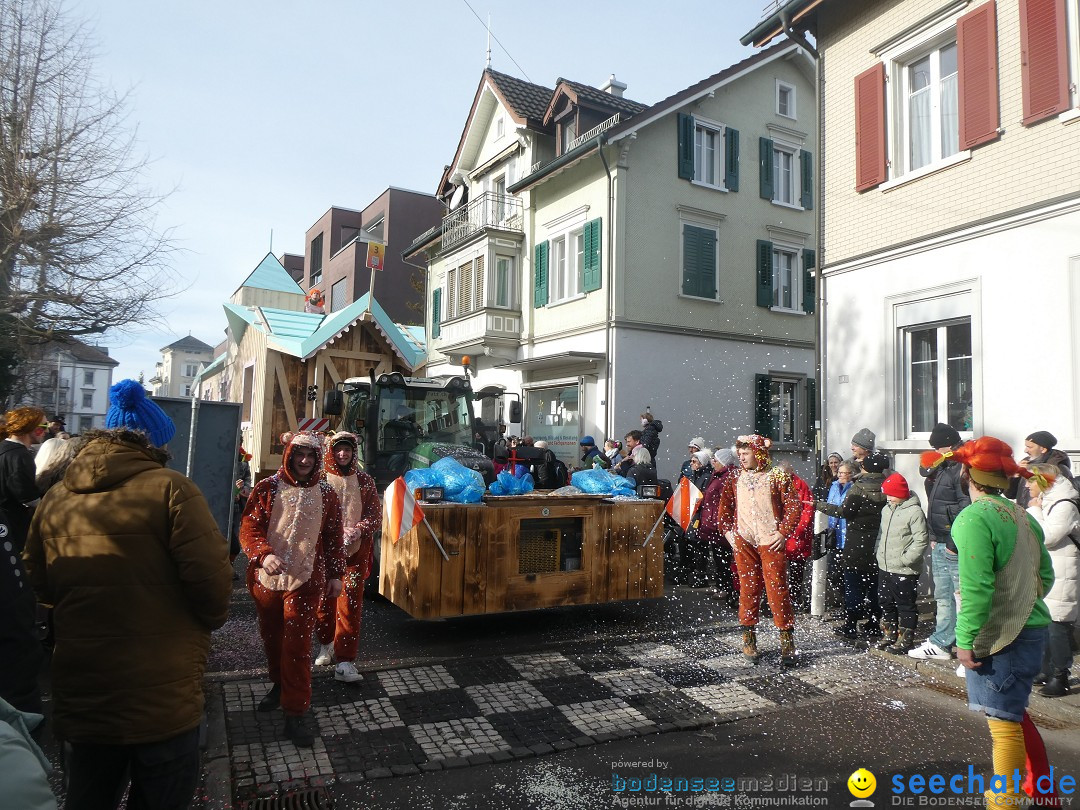 Fasnachtsumzug und Party: Gossau, 25.01.2026