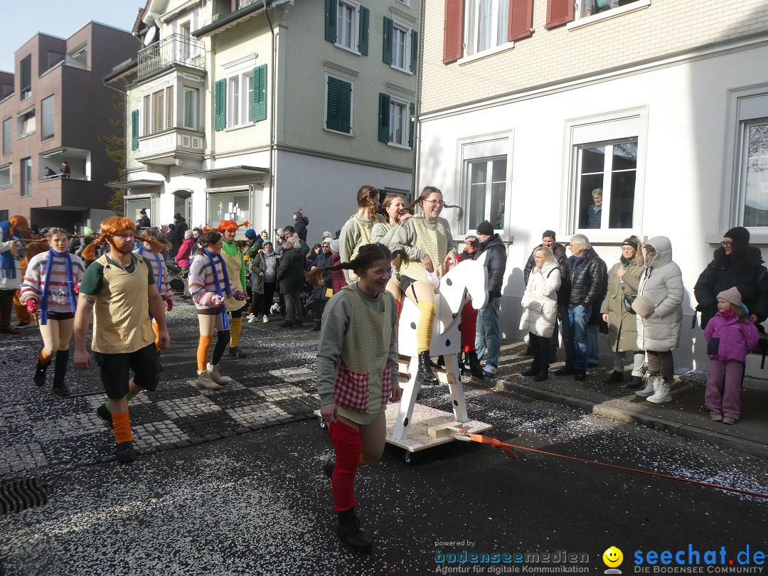 Fasnachtsumzug und Party: Gossau, 25.01.2026