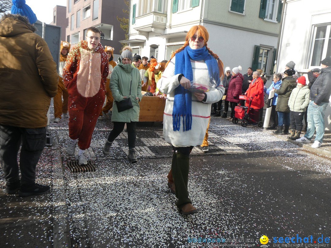 Fasnachtsumzug und Party: Gossau, 25.01.2026