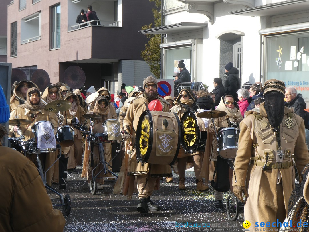 Fasnachtsumzug und Party: Gossau, 25.01.2026