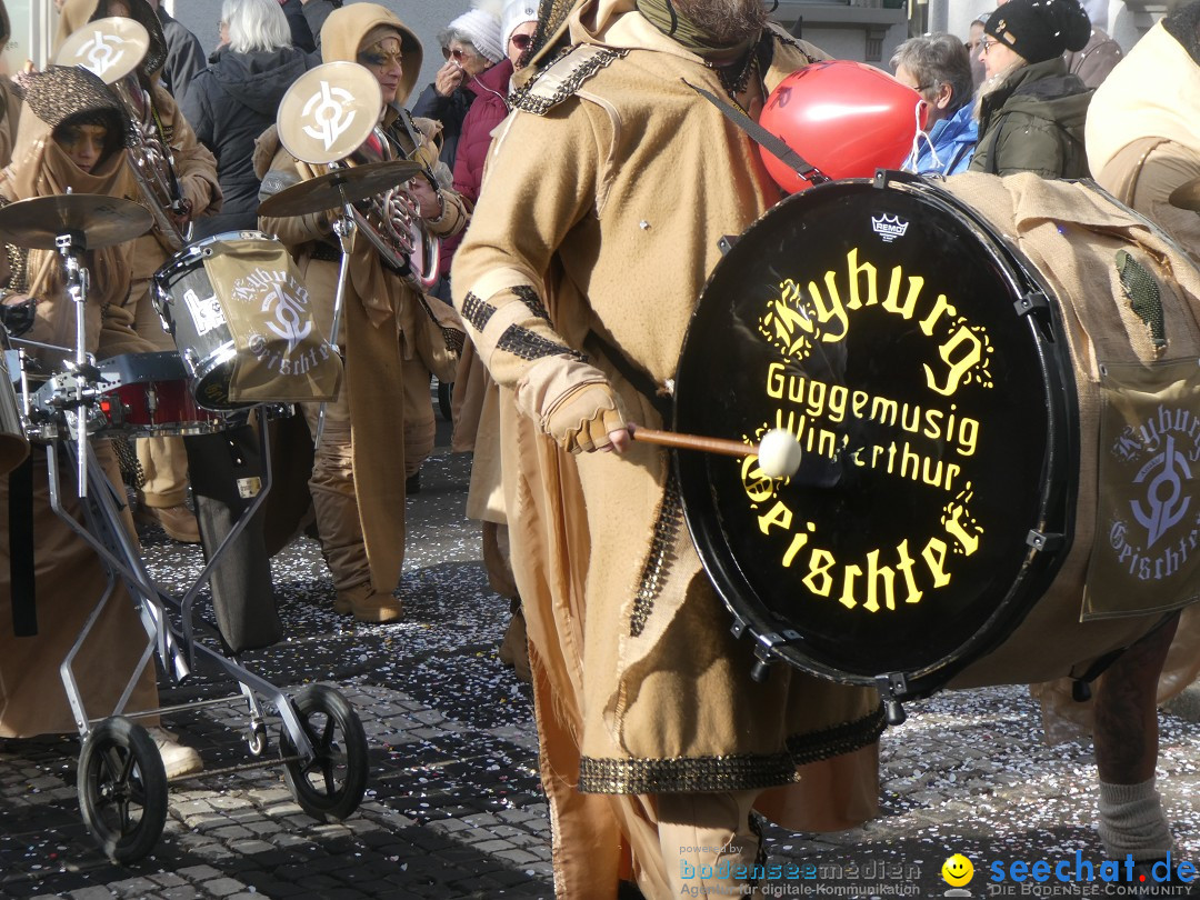 Fasnachtsumzug und Party: Gossau, 25.01.2026