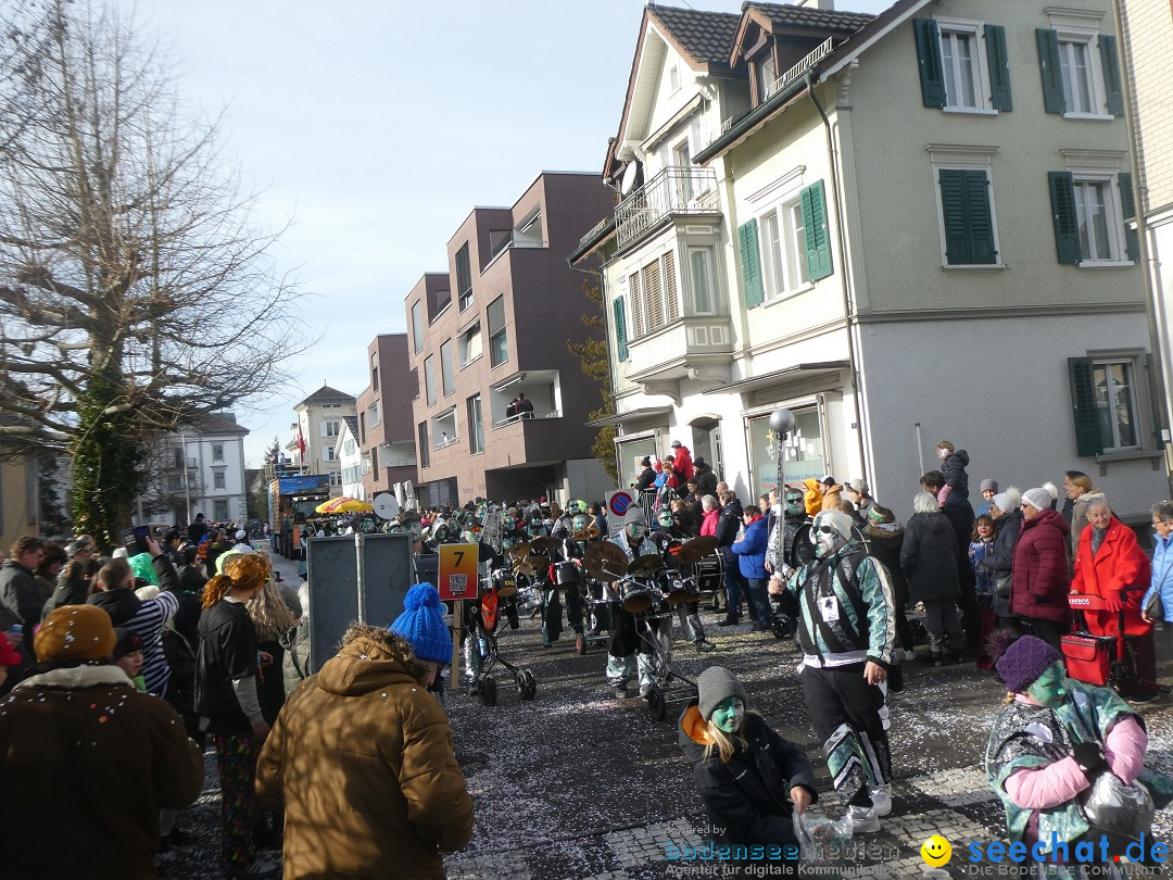 Fasnachtsumzug und Party: Gossau, 25.01.2026