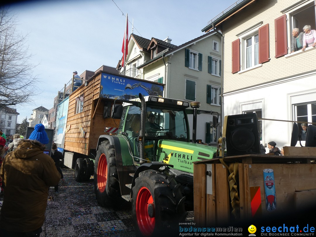 Fasnachtsumzug und Party: Gossau, 25.01.2026