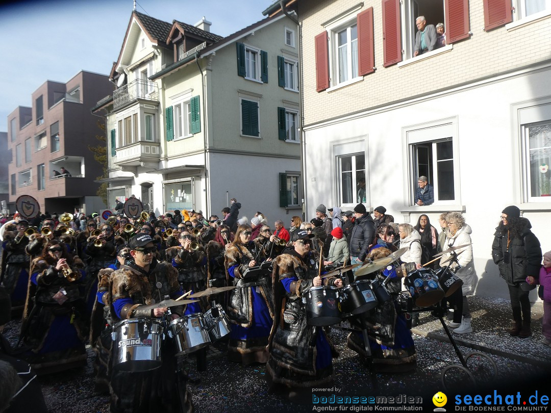 Fasnachtsumzug und Party: Gossau, 25.01.2026