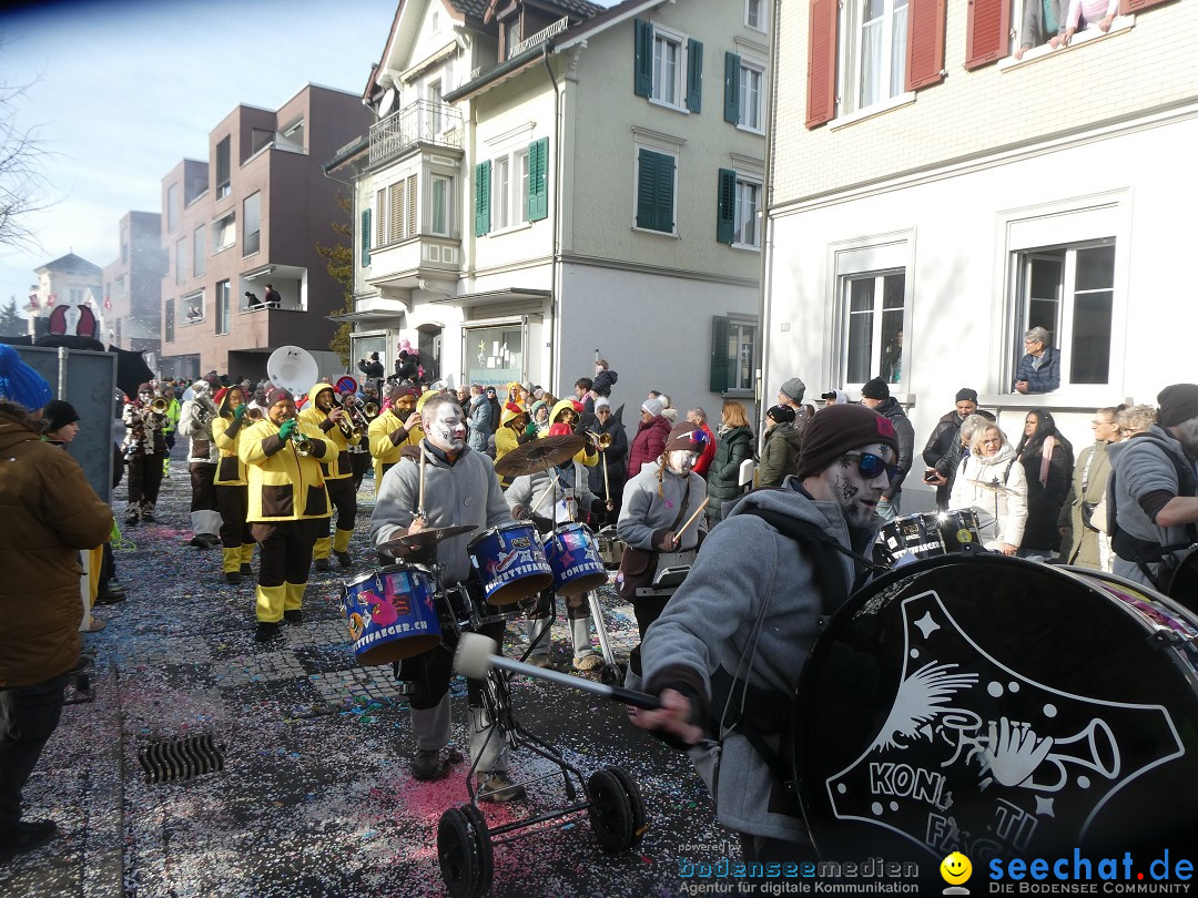 Fasnachtsumzug und Party: Gossau, 25.01.2026