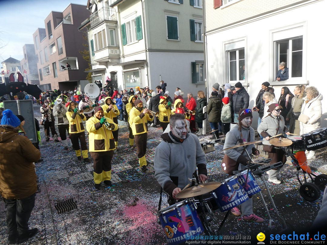 Fasnachtsumzug und Party: Gossau, 25.01.2026