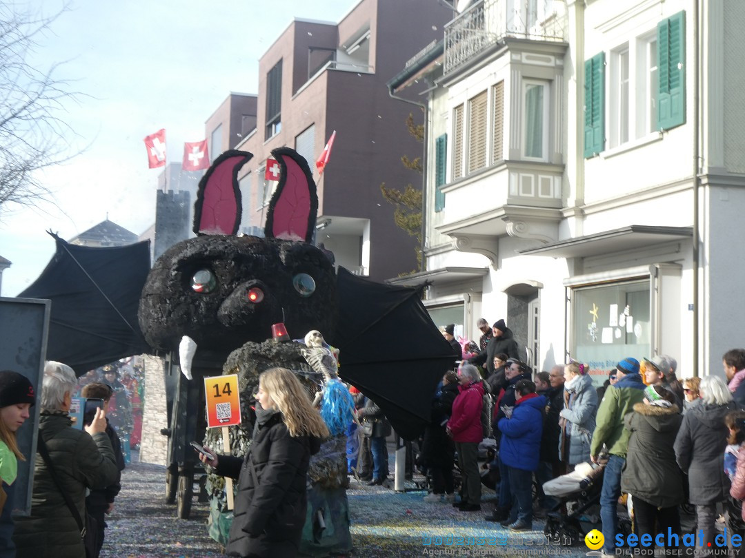 Fasnachtsumzug und Party: Gossau, 25.01.2026